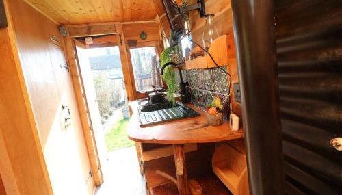 Old Rosie, By House of Pause - Foto 4