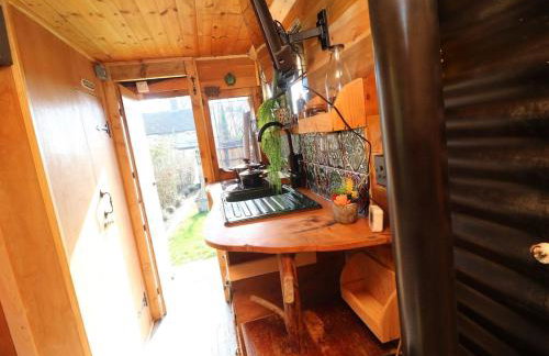 Old Rosie, By House of Pause - Foto 4