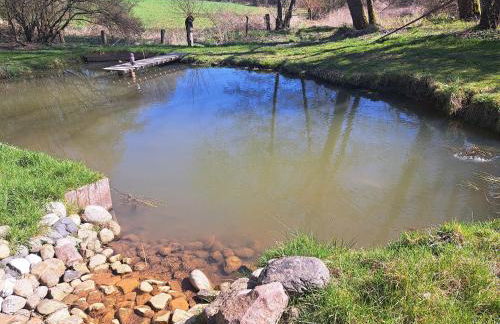 Pension Mühlental Hüllhorst - Foto 17