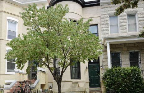 Serene Settler - Capitol Hill - Foto 31