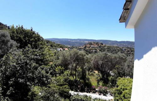 Traditional house in Akamatra square - Photo 32