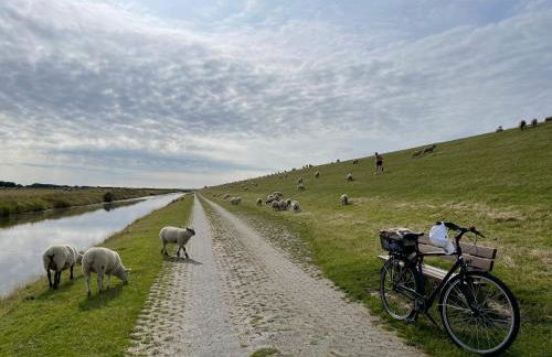 Beach Home - Photo 60