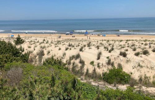 Fenwick Island - 38829 Bunting Avenue #1 - Foto 25