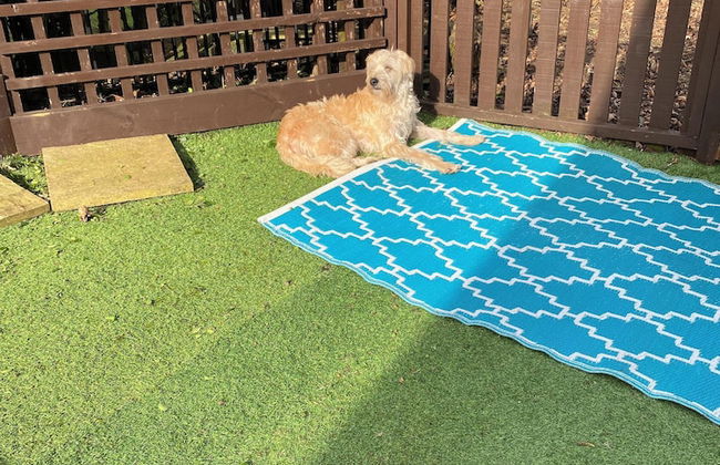 Large 3 bed Chalet -sleeps 6- dog Friendly- Garden - Foto 15