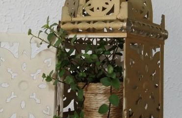 Apartamento Charmoso na frente da praia - Foto 26