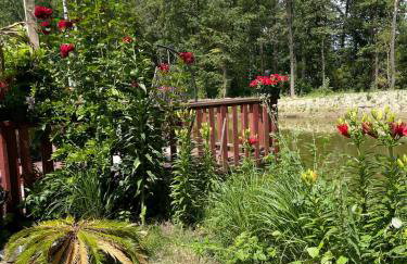 Filipowe Zacisze - Foto 7