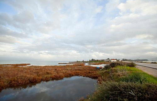 Koronisia Apartments - Foto 28