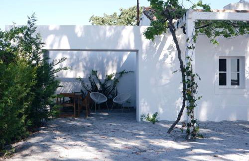 Monte dos Coureleiros - Foto 9