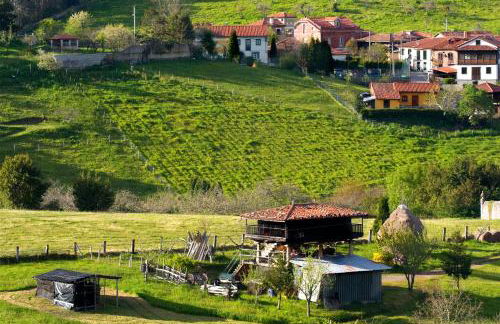 Casa Rural Los Sombredales - Foto 11