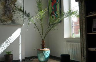 Villa Ambrosian (Haupthaus) - Foto 43