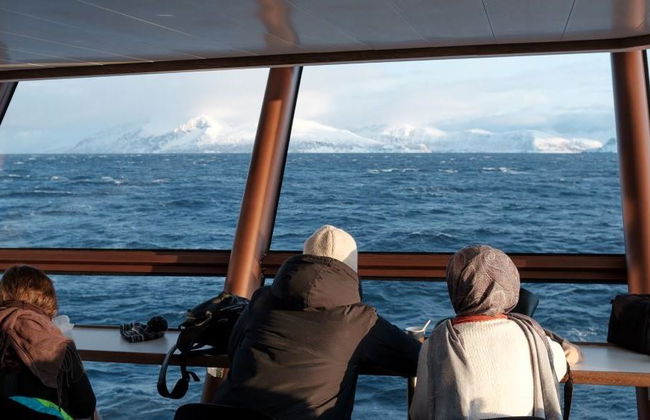 Croisière dans le fjord arctique de Tromsø - Photo 3