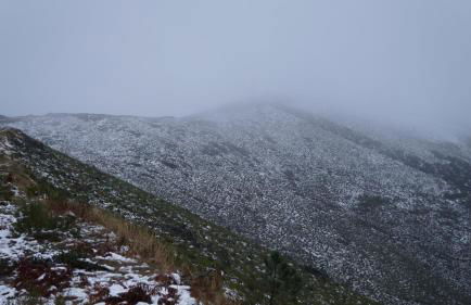 Casa da Quelha - Foto 77