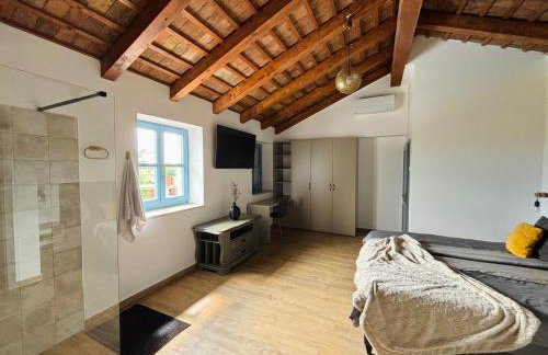 Villa Francesca with free bikes and heated pool, Buje - Foto 24