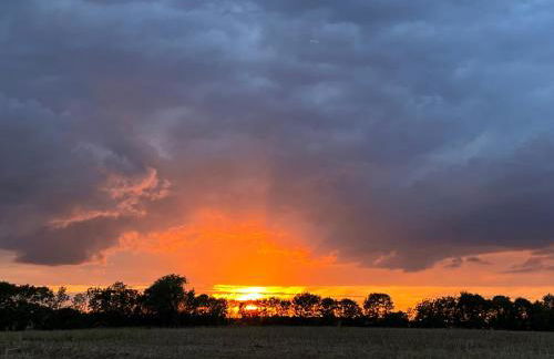 Reihenhaus Geltinger Bucht - Foto 28
