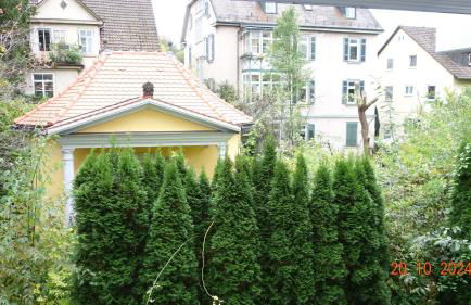 Apartment König - Foto 34