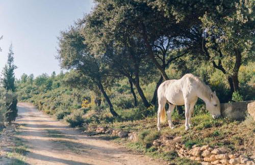 Masia Heredad La Boquilla - Foto 103
