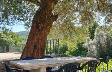 Quinta da Vinha Velha - Foto 48