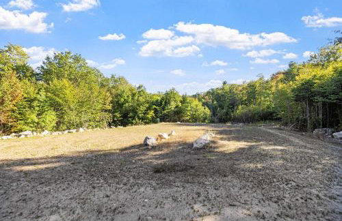 Le Petit Flat - 2 Bed 1 Bath One Level Apartment - Foto 46