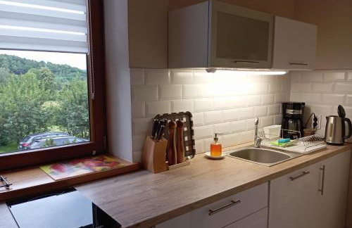 Przytulne Studio Borówkowy Zagajnik - Foto 12