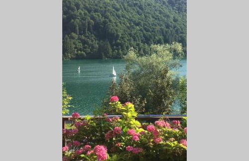 Casa a schiera fronte lago con giardino - Foto 1