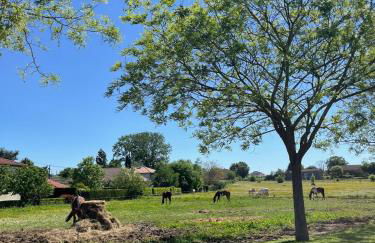 Le SPOT Piscine chauffée & Fun - Foto 16