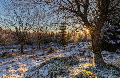 Sagenhafter Ausblick - Foto 37