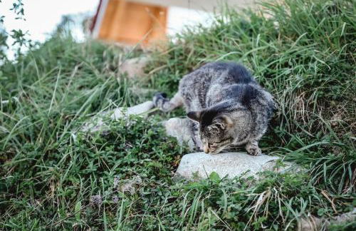 Biohof Stotz - Foto 9