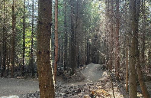 Ferienwohnungen Ebner - Foto 38