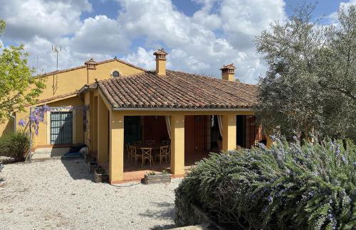 EL BAUZAL DE TRUJILLO - Foto 15