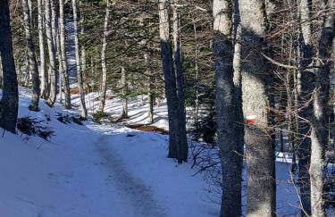 Il Nido nel Bosco - Foto 12