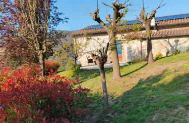 La Bottega di Torreluca - Foto 1