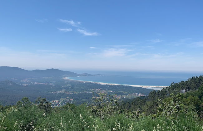 Lar de Canedo - Photo 48