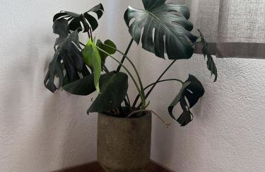 Villa Gem - Photo 34