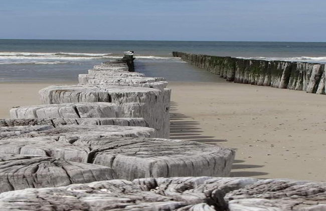 Lodge Near Brouwersdam & North Sea Beaches - Foto 40