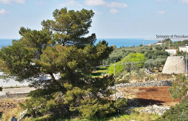 Corbezzolo Vista Mare - Photo 11