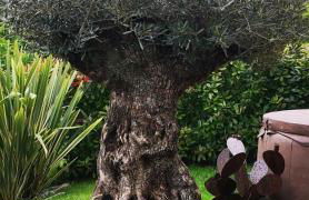 Magic Garden with Jacuzzi-Pool and Luxury Lake Como view - Foto 14