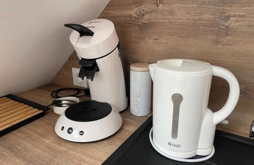 Gîte des Comtes du Perche 2 logements indépendants de 40 et 25 m2 - Foto 26