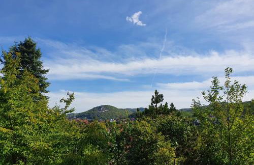 Apartments Villa-Ratskopf Wernigerode - Photo 109