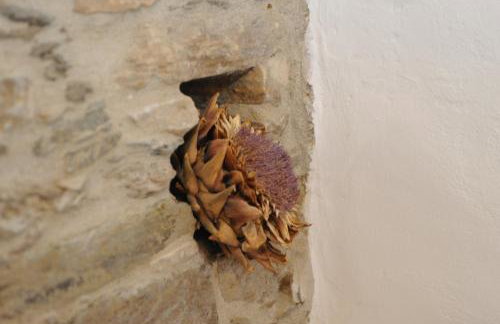 Apano Vrysi - Foto 18