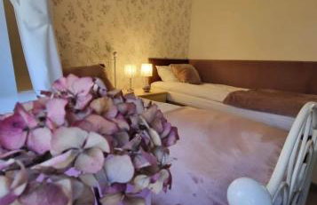 Zielono Mi - Dom Gościnny w Łapalicach - Foto 10