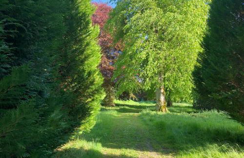 Barns Library - Foto 17