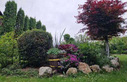 Oaza mira i tišine - Foto 26