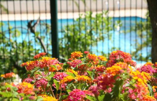 Studio Le Fabrina Riviera - Foto 7