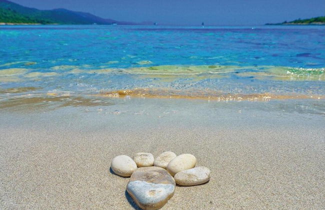 Nice Apartment With Roofed Terrace, Near the Sea - Foto 27