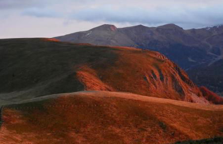 Grand appartement hyper centre haut standing - Foto 72