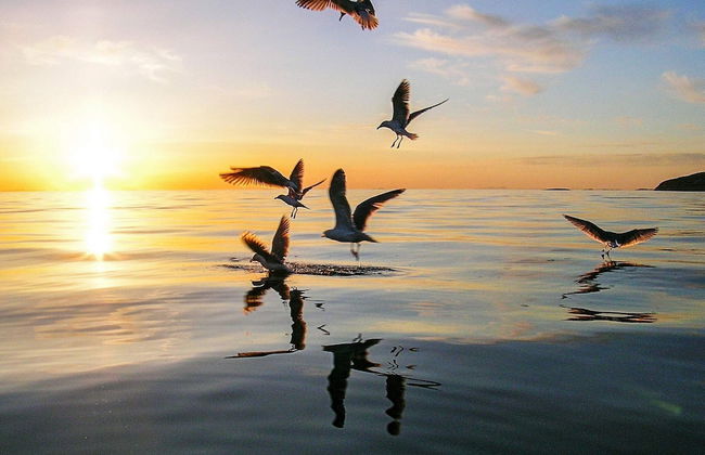 4 Person Holiday Home in Botnhamn - Foto 26