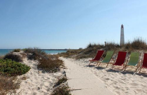 Caroline Du Sul - Foto 44