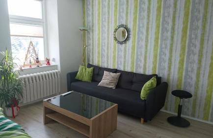 Fewo Peter Erholungsort Bärenstein - Foto 15