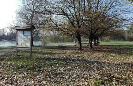 Vittadinisette - Foto 12