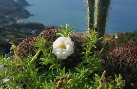 Villa Tramonto Capo d'Orlando - Foto 11